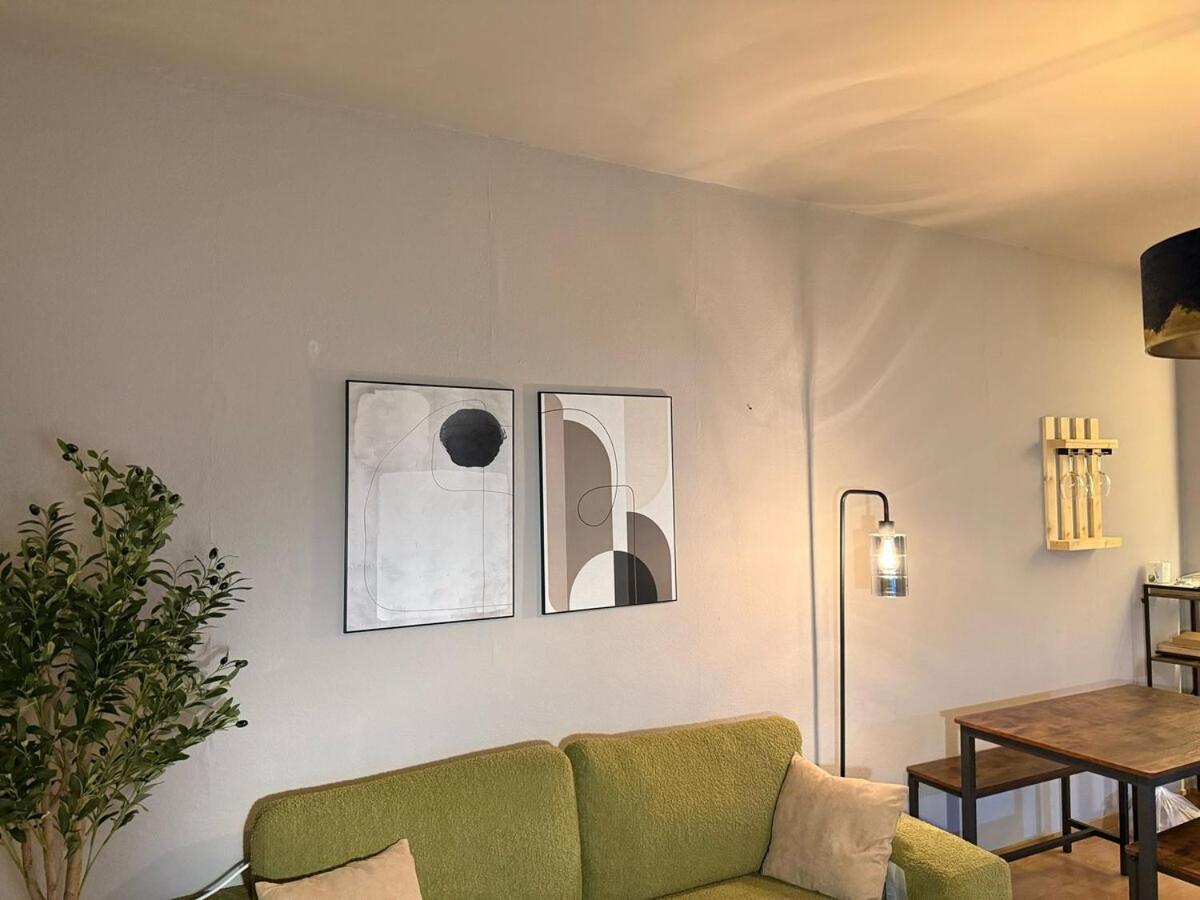 Un Cocon Cosy En Plein * Lausanne